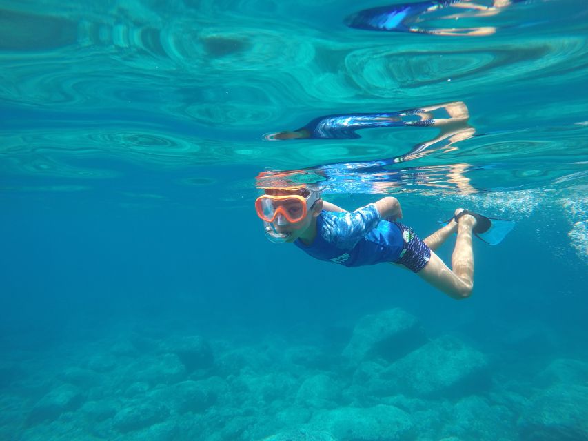 Puerto de Mogan: Boat and Snorkeling Trip - Who Should Book This Trip, and Who Should Skip It