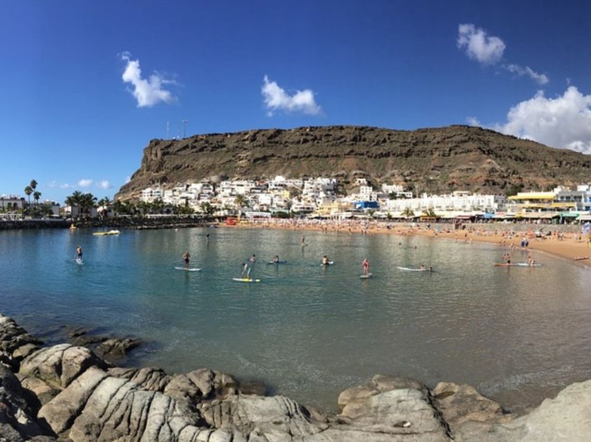 Puerto de Mogan: Friday Market Experience - Who This Tour Suits Best (and Who Might Want Something Different)