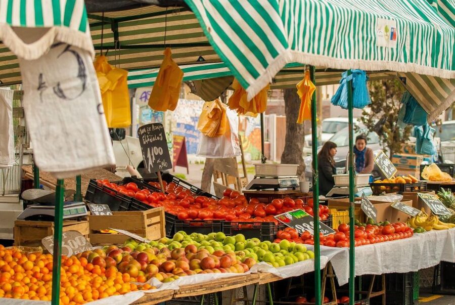 Puerto de Mogan: Friday Market Experience - Getting There and Back: Direct Bus, Assistant Help, and an Easier Rhythm