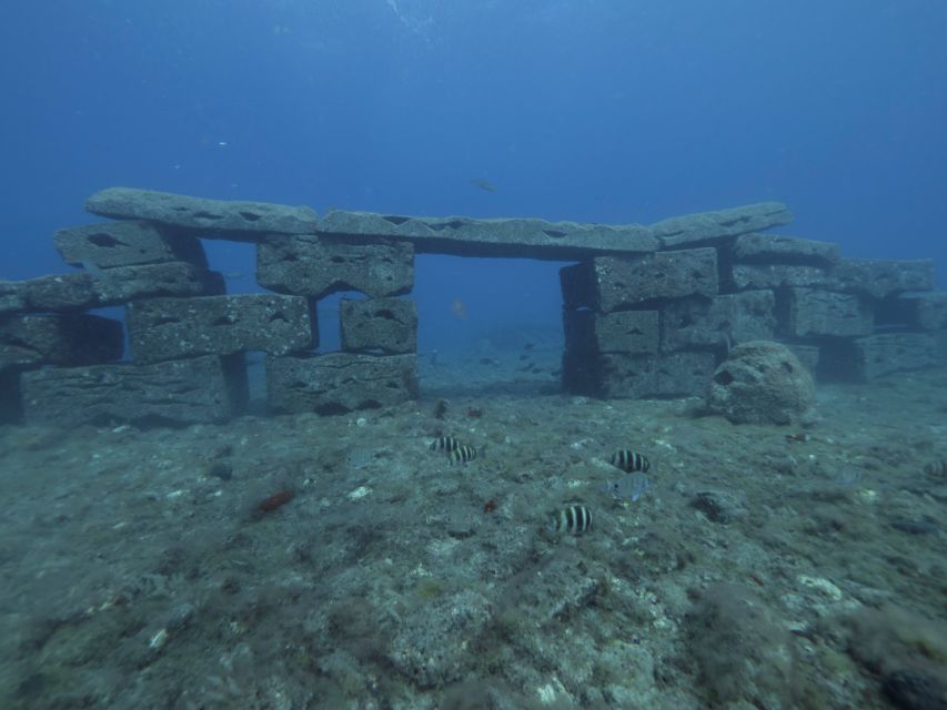 Puerto de Mogán: Submarine Tour - What you actually see at the sea floor: wrecks, reef structure, and fish