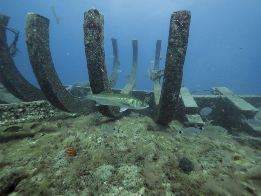 Puerto de Mogán: Submarine Tour - The 25-metre limit, and why you may feel surprisingly comfortable