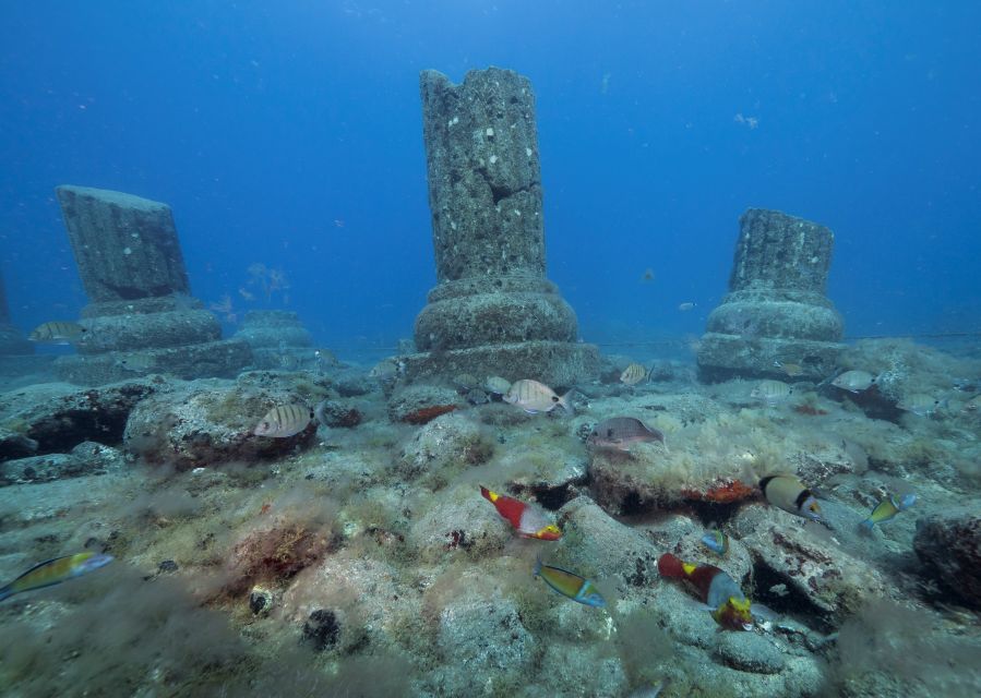 Puerto de Mogán: Submarine Tour - How long is enough for this kind of underwater look