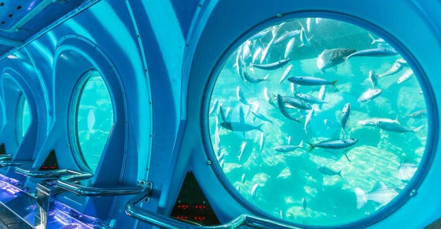 Puerto de Mogán: Submarine Tour - Price and value: what you get for around $45