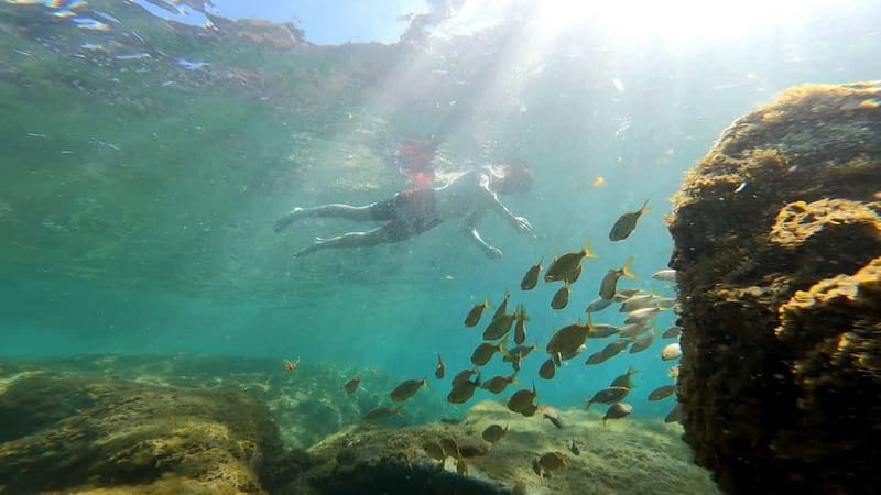 Puerto Mogán: Guided Adventure Kayak Tour in Caves & Snorkel - Kayak Into the Mogán Caves, With Pablo Taking the Lead