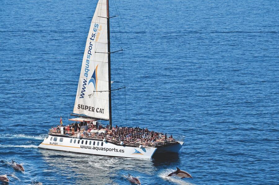 Puerto Rico : 2 hour Dolphin Catamaran Excursion - Key highlights that make this excursion worth your time