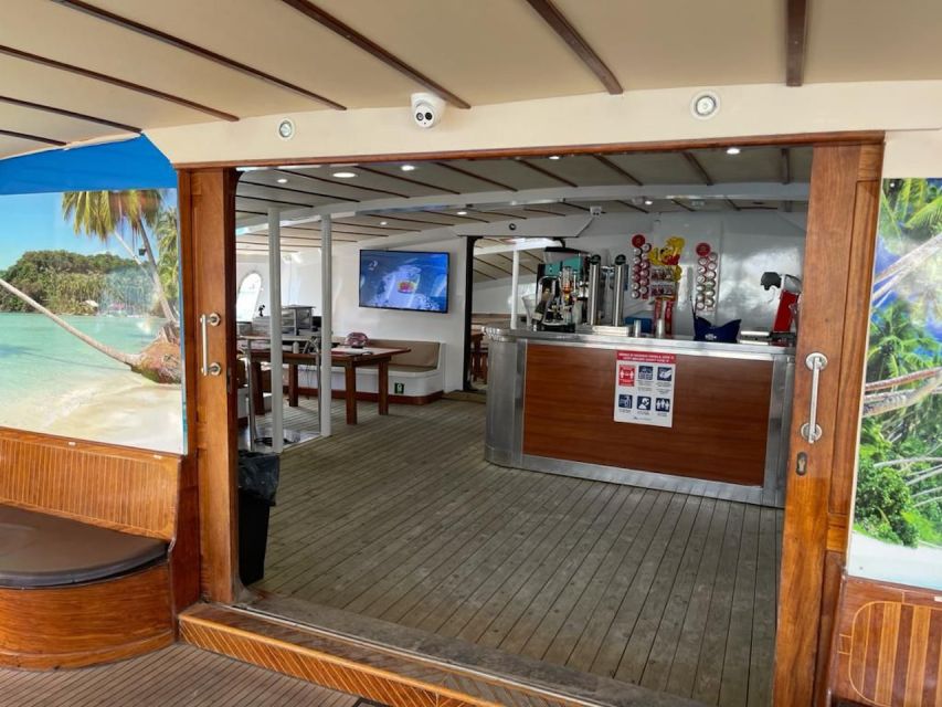 Puerto Rico : 2 hour Dolphin Catamaran Excursion - Should you book this dolphin catamaran excursion?