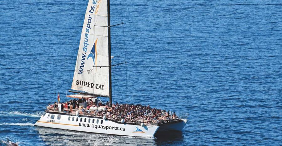 Puerto Rico : 2 hour Dolphin Catamaran Excursion - Why this 2 hour catamaran fits perfectly in Gran Canaria’s south