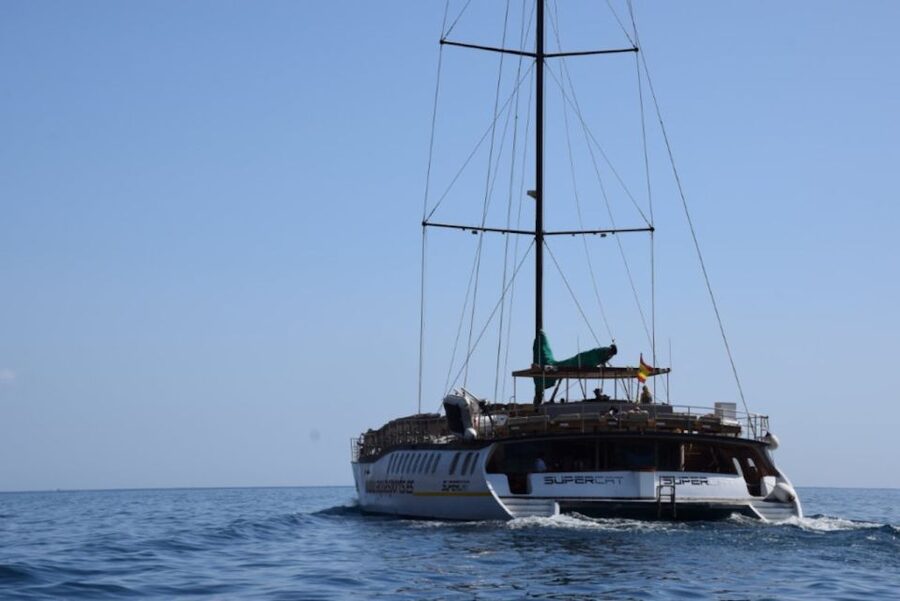 Puerto Rico : 2 hour Dolphin Catamaran Excursion - What the boat experience feels like, plus Captain Miguel’s vibe
