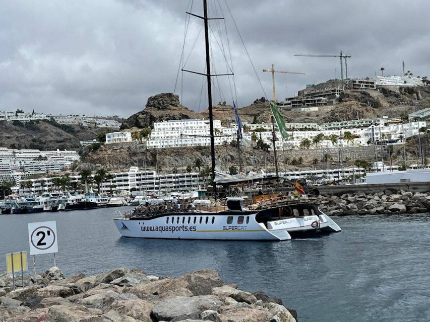 Puerto Rico : 2 hour Dolphin Catamaran Excursion - What you’ll look for out on the water