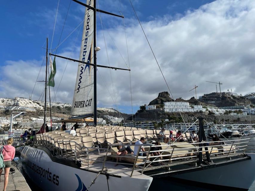 Puerto Rico : 2 hour Dolphin Catamaran Excursion - Tips that make the ride better (especially sunscreen and sea sickness)