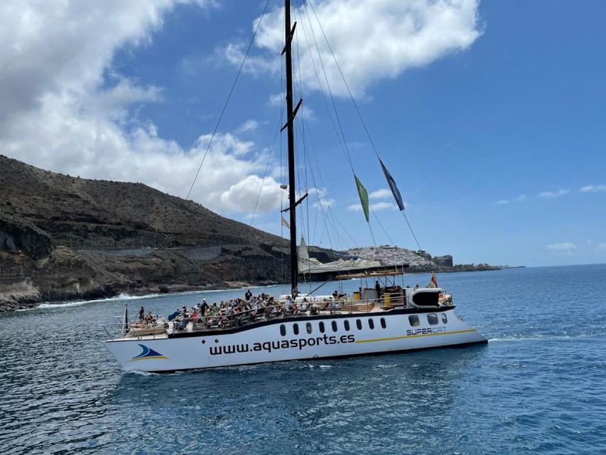 Puerto Rico : 2 hour Dolphin Catamaran Excursion - Who this catamaran excursion is best for