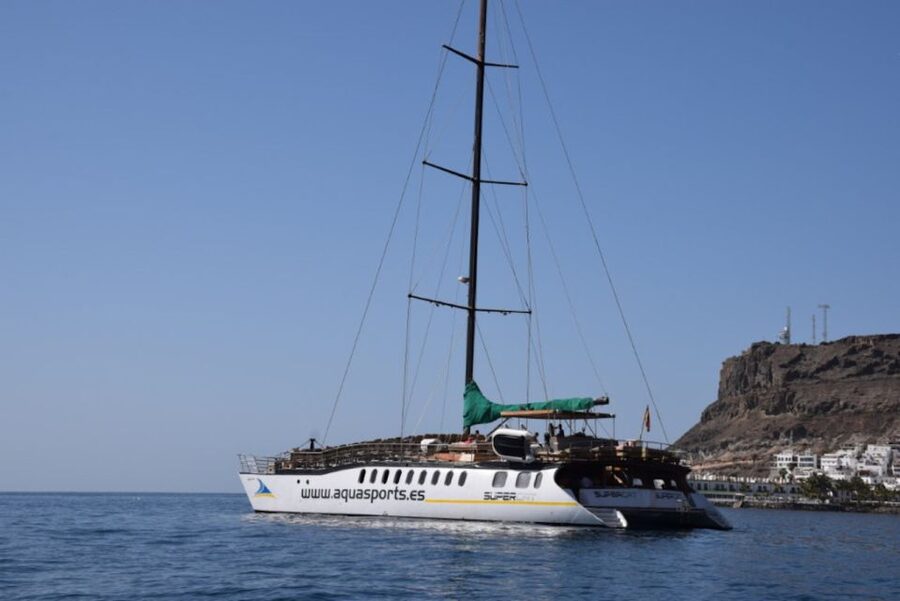 Puerto Rico : 2 hour Dolphin Catamaran Excursion - Meeting points and the “how do I get there” reality check