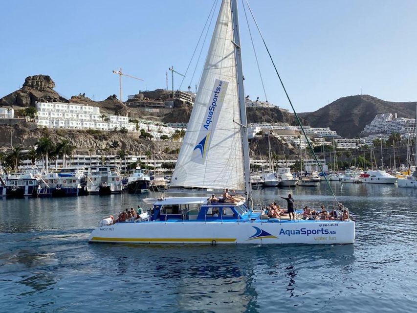 Puerto Rico: 4-Hour Catamaran Excursion in the South - Price and value for $65, and what makes it a good deal