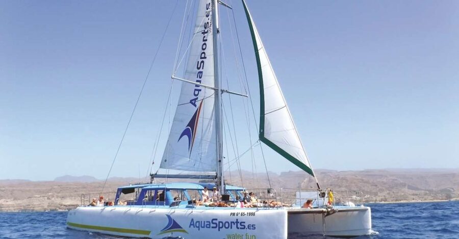 Puerto Rico: 4-Hour Catamaran Excursion in the South - Boarding, sailing, and the views from sea caves and huge cliffs
