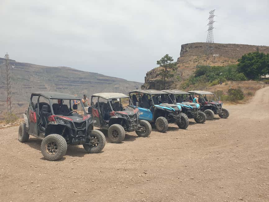 Puerto Rico de Gran Canaria: Dirt Buggy Tour - Meeting Point, Timing, and How to Slot It Into Your Day