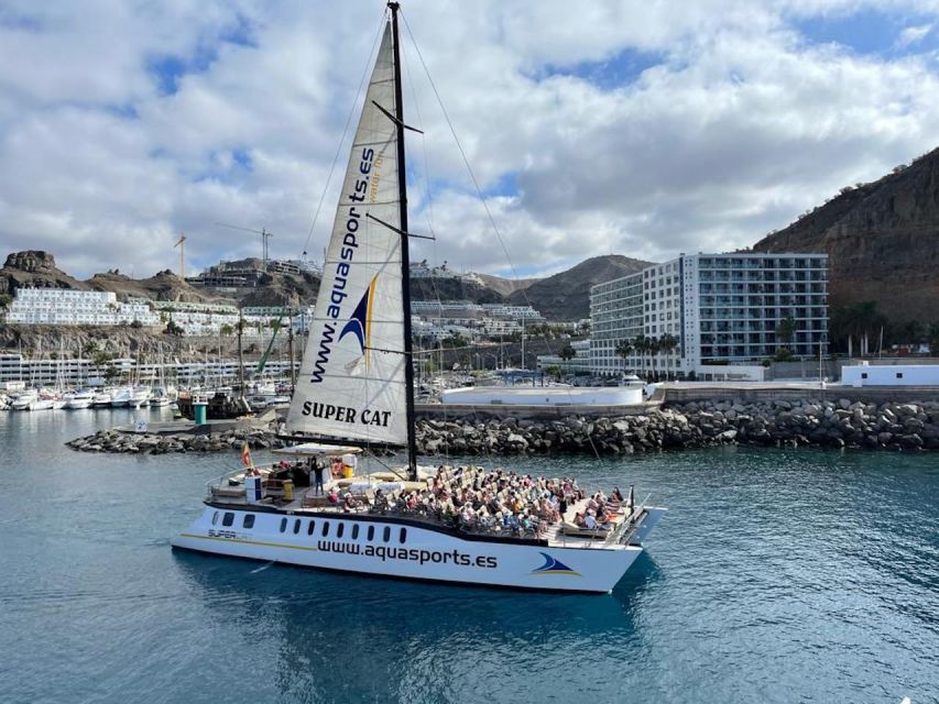 Puerto Rico de Gran Canaria: Premium Dolphin Catamaran Tour - Who should book this catamaran tour, and who should skip it