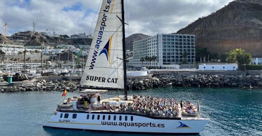 Puerto Rico de Gran Canaria: Premium Dolphin Catamaran Tour - Puerto Rico Base to the south coast in a premium catamaran