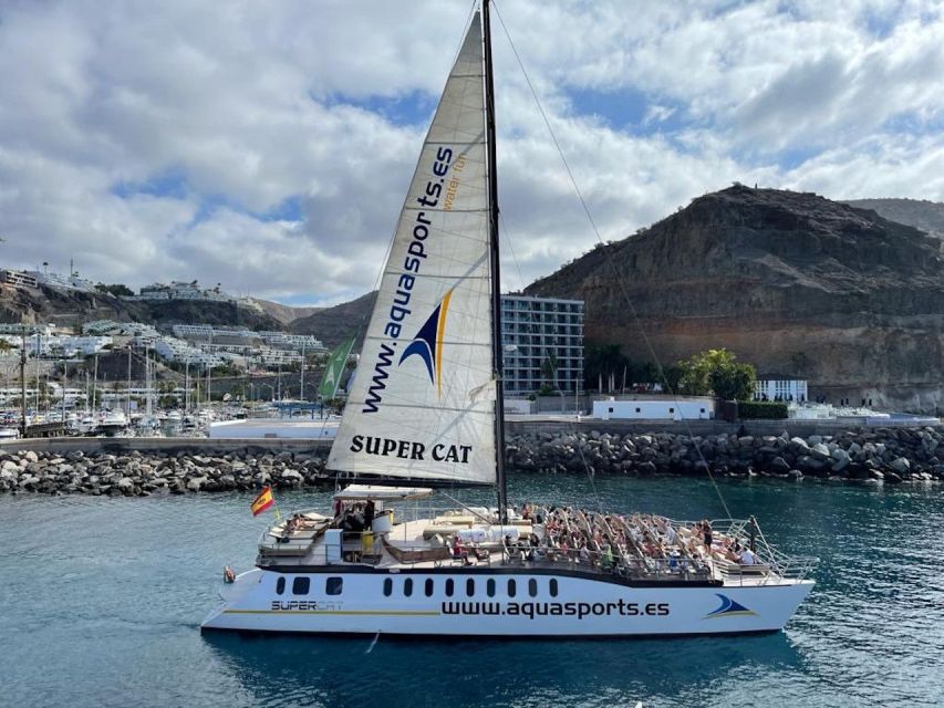 Puerto Rico de Gran Canaria: Premium Dolphin Catamaran Tour - Onboard bar, lunch, and comfort details that change the mood