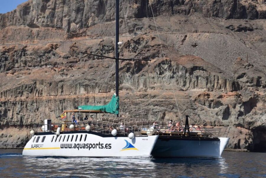 Puerto Rico de Gran Canaria: Premium Dolphin Catamaran Tour - Included snorkel goggles and banana boat, plus discounted upgrades