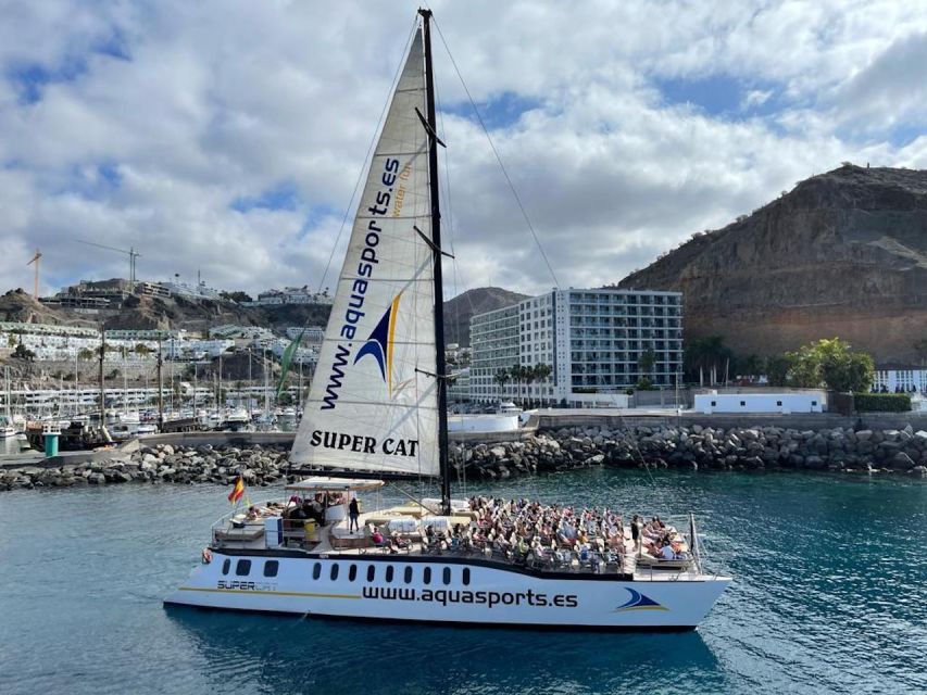 Puerto Rico de Gran Canaria: Premium Dolphin Catamaran Tour - Pickup and drop-off from Bahia Feliz to Mogan, and how to avoid confusion