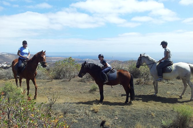 Relaxing Horse Riding Tour in Gran Canaria - Key things I’d bank on before you go