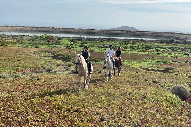 Relaxing Horse Riding Tour in Gran Canaria - Meet your horses: basic riding talk, contact, then a practice run