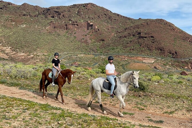 Relaxing Horse Riding Tour in Gran Canaria - Price and value: what you pay for, what you must handle yourself