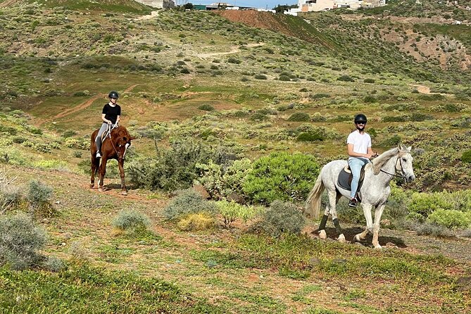 Relaxing Horse Riding Tour in Gran Canaria - Where you meet, and when the ride runs