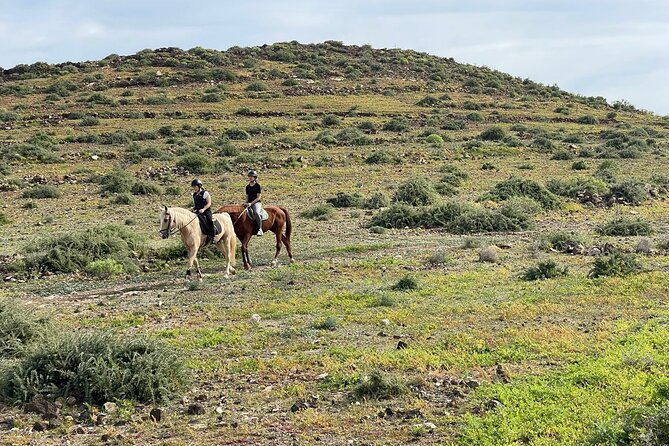 Relaxing Horse Riding Tour in Gran Canaria - Weather and comfort: what can change, and how to stay ready