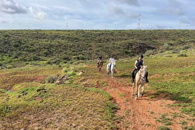 Relaxing Horse Riding Tour in Gran Canaria - The ride itself: fields with sea and mountain views at a gentle pace