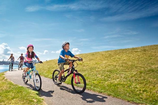 Rent City Bike 18 gears from 4 hours to 7 days: Visit Maspalomas - La Charca lagoon and the birds-and-sea timing that feels special