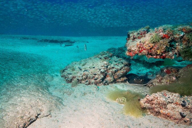 Scuba Diving Experience at Arguineguin and Puerto Rico - The schedule: 2 hours total, with real underwater time