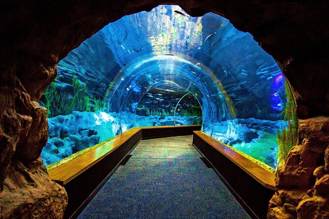 Sea and Mountain Full Day Tour with Lunch - A Day That Mixes Aquariums, Canyon Caves, and Old Town Walks