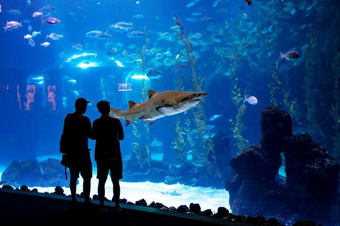 Sea and Mountain Full Day Tour with Lunch - Lunch in a Cave: Tapas in a Cliff-Carved Restaurant