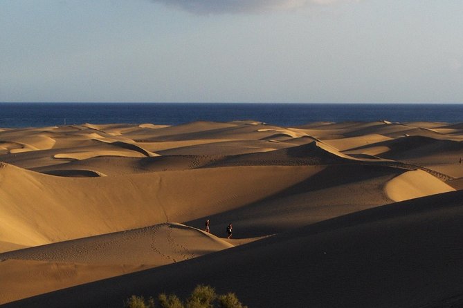 Segway Experience 1 hour Sightseeing Tour : Visit Maspalomas Dunes, Playa Ingles - Who should book, and who should skip (important safety rules)