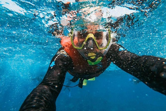Snorkeling in Gran Canaria with Hotel Pick-up - Why the 8:00 am schedule feels like the smart move