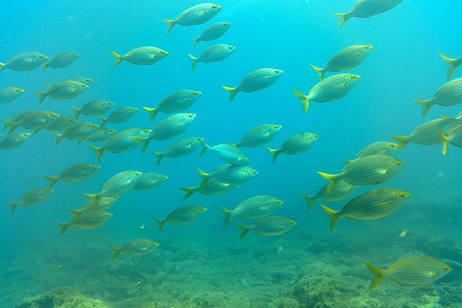Snorkeling in Gran Canaria with Hotel Pick-up - Inside the base before you get in the water