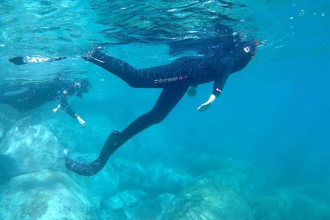 Snorkeling in Gran Canaria with Hotel Pick-up - Snorkeling route, wildlife spotting, and why group size matters