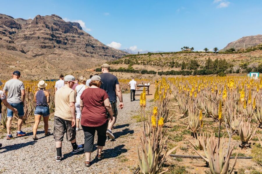 South Gran Canaria: Off-Road Valleys & Villages Jeep Tour - Why South Gran Canaria Feels Different From the Coast