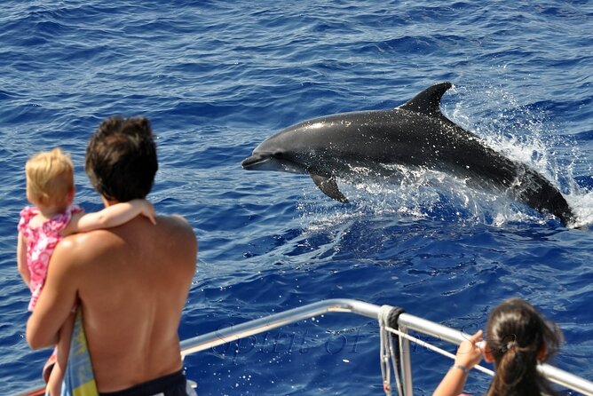Spirit of the Sea: Cetacean sighting in Gran Canaria - Where You Start in Puerto Rico and What the First Minutes Feel Like