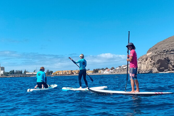 Stand Up Paddle and Snorkeling Tour of Gran Canaria with Transfers south area - Hotel pickup in the south area: the morning stays easy
