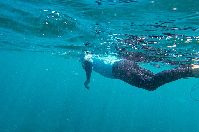 Stand Up Paddle and Snorkeling Tour of Gran Canaria with Transfers south area - The beach lesson with Danny: where the skill actually clicks