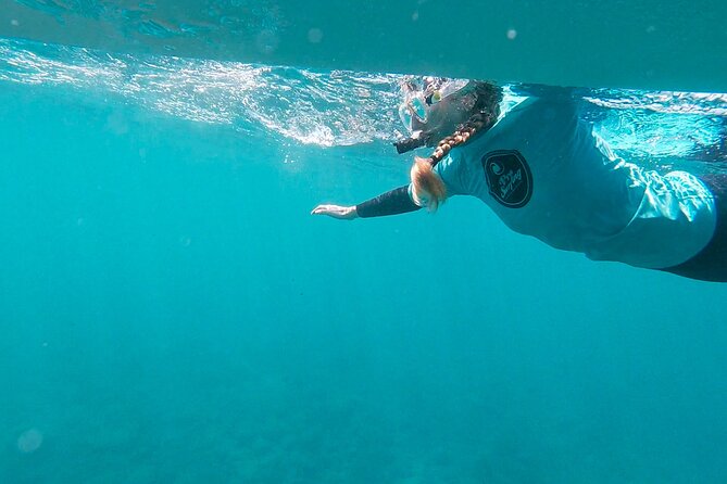 Stand Up Paddle and Snorkeling Tour of Gran Canaria with Transfers south area - Who should book this, and who might want a different day