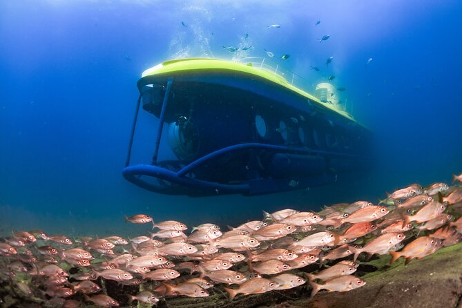 SUBMARINE ADVENTURE - Submarine Excursion in Puerto de Mogán - Key highlights you’ll care about