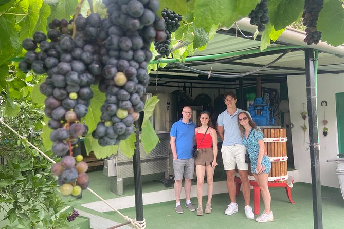 Taste Gran Canaria's unique wines - English on-site, and why guide style matters here