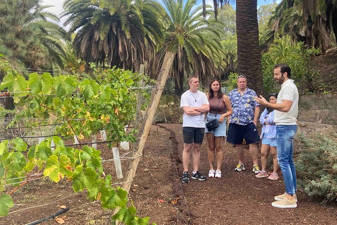 Taste Gran Canaria's unique wines - Weather and comfort: the only real watch-out