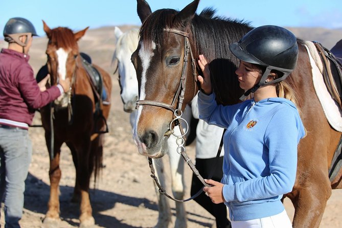 The Best Horse Riding Experience in Gran Canaria (1 hour) - Price and Value: What $43.14 Buys You for a Full Hour