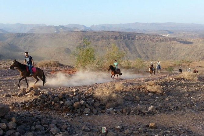 The Best Horse Riding Experience in Gran Canaria (1 hour) - What You Should Bring for a Smooth Ride (and Better Photos)