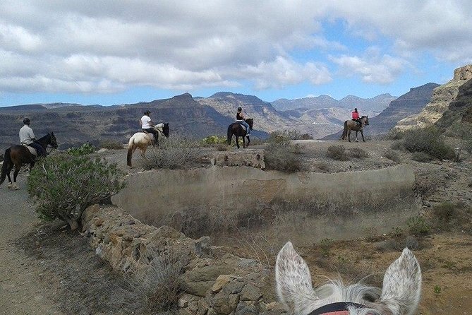 The Best Horse Riding Experience in Gran Canaria (1 hour) - Getting There: El Salobre Starting Point and Hotel Pickup That Actually Helps