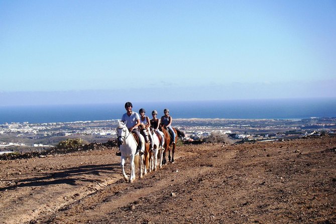 The Best Horse Riding Experience in Gran Canaria (2 hours) - Key highlights you will feel immediately